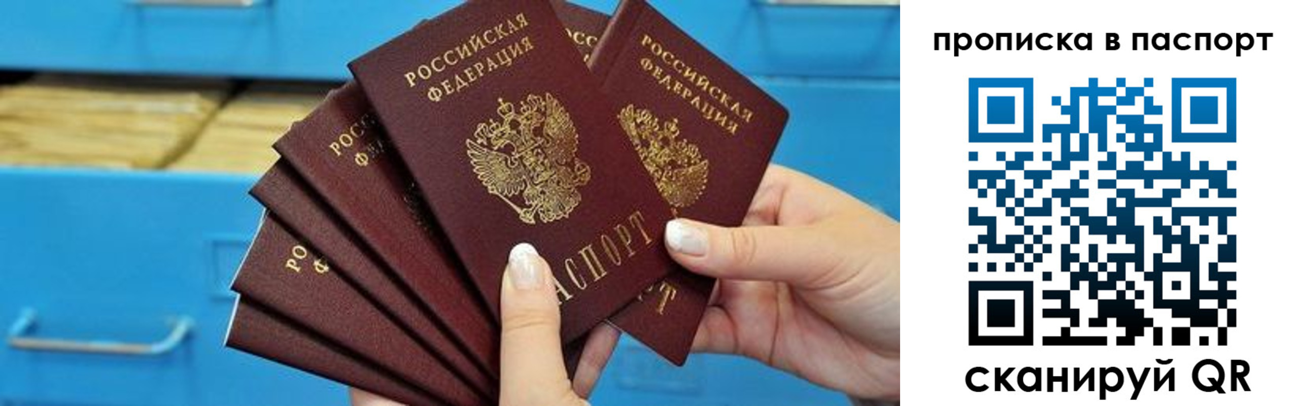прописка в Зернограде