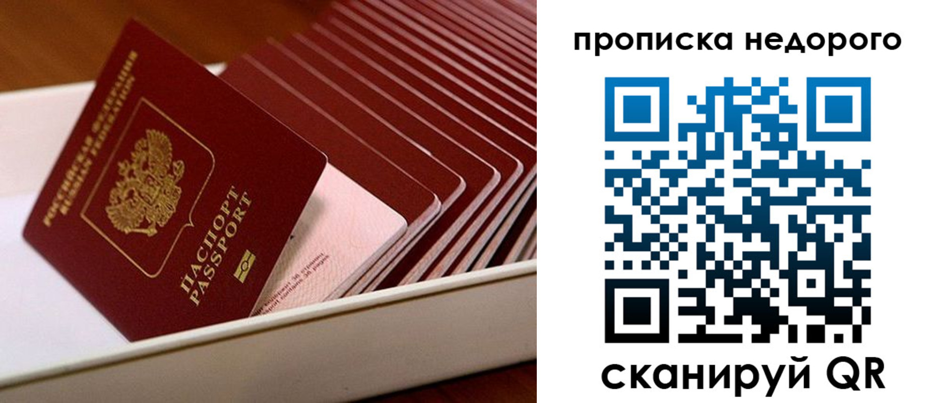 прописка паспорт в Зернограде